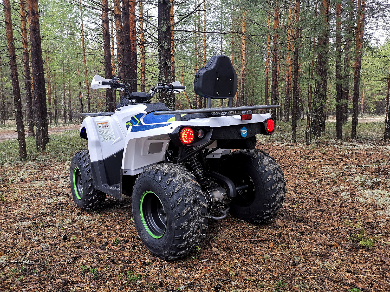 Квадроцикл PROMAX RENEGADE 280 (2025) в Рыбинске