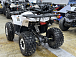 Квадроцикл PROMAX WILD 2.0 190 LUX в Рыбинске
