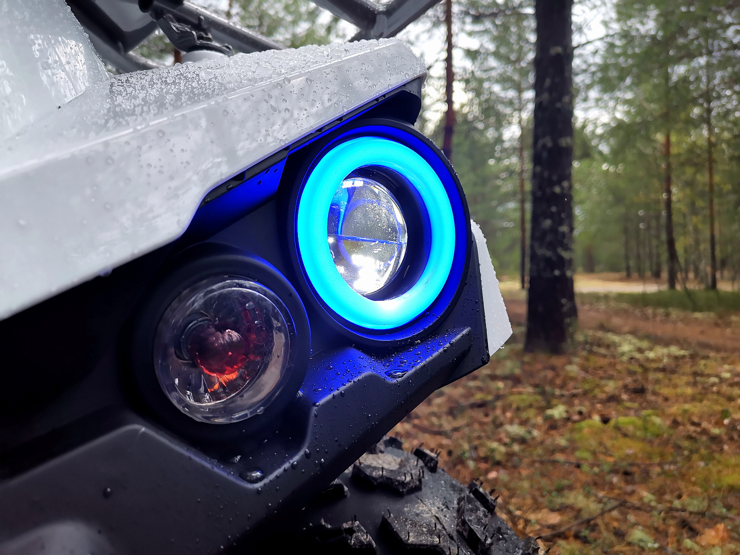 Квадроцикл PROMAX RENEGADE 280 (2025) в Рыбинске