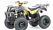Квадроцикл MOTOLAND (МОТОЛЕНД) 250 ADVENTURE в Рыбинске