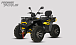 Квадроцикл PROMAX TAURUS 300 MAX-PRO LONG в Рыбинске